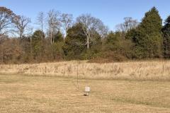 hb9v-KC4NX-shack-113