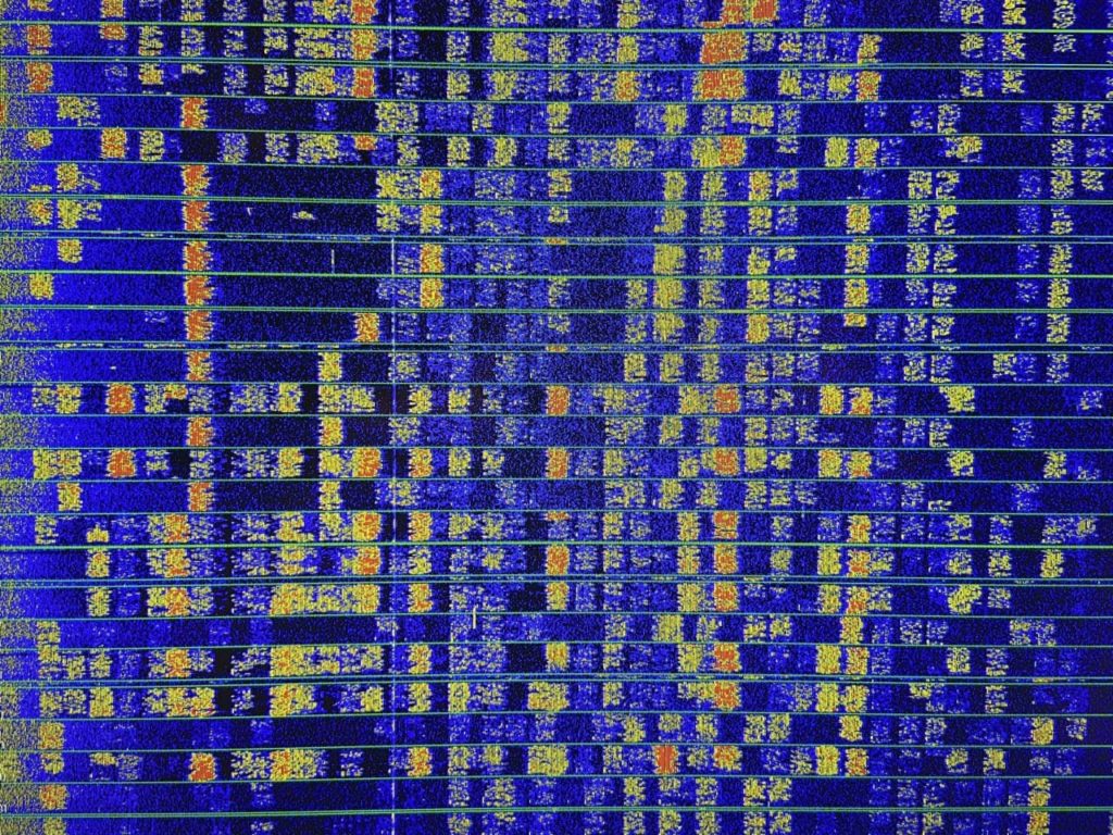 WSJT-X-Wasserfall FT8 mit dekodierten Signalen auf dem 80-m-Band