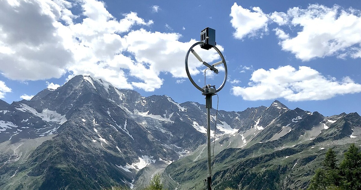 Antenne Baby Loop de Ciro Mazzoni : le guide complet